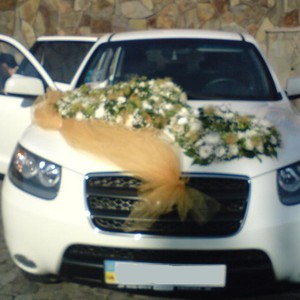 весільне авто, кортеж, фото 4